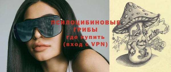 ПСИЛОЦИБИНОВЫЕ ГРИБЫ Алзамай
