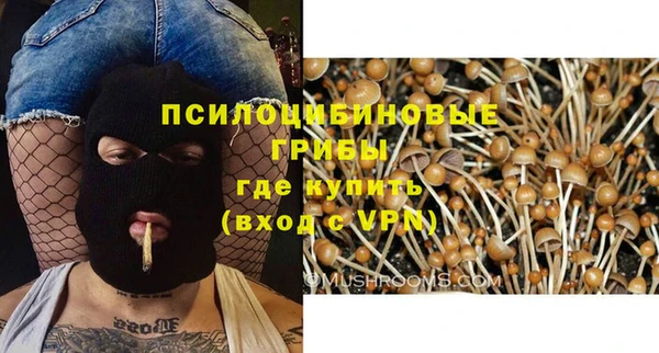 гидра Алексин