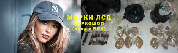 ПСИЛОЦИБИНОВЫЕ ГРИБЫ Алзамай