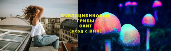 гидра Алексин