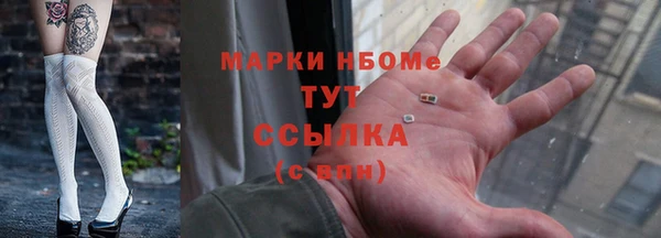 гидра Алексин