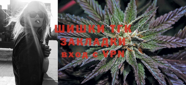 ПСИЛОЦИБИНОВЫЕ ГРИБЫ Алзамай