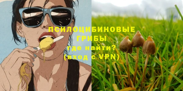 ПСИЛОЦИБИНОВЫЕ ГРИБЫ Алзамай