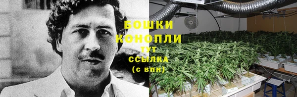 ПСИЛОЦИБИНОВЫЕ ГРИБЫ Алзамай