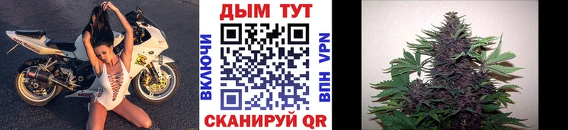 Каннабис VHQ  Порхов 